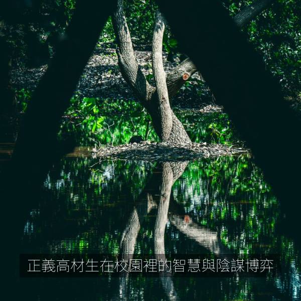 正義高材生在校園裡的智慧與陰謀博弈 海报