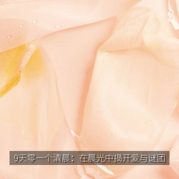9天零一个清晨：在晨光中揭开爱与谜团 海报