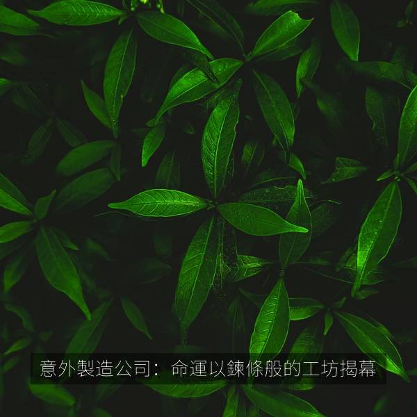 意外製造公司：命運以鍊條般的工坊揭幕 海报