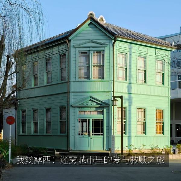 我愛露西：迷雾城市里的爱与救赎之旅 海报