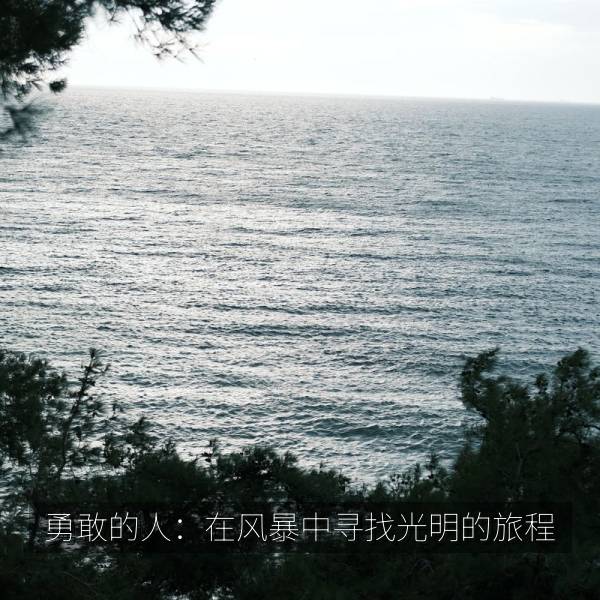勇敢的人：在风暴中寻找光明的旅程 海报